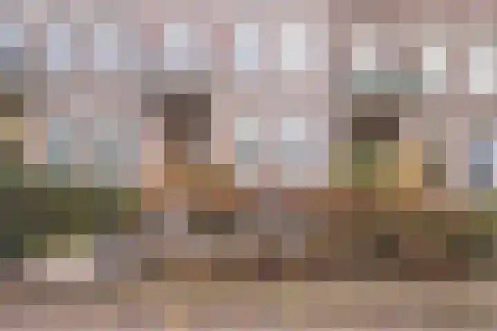 Apeldoornseweg 64 Arnhem thumbnail 41