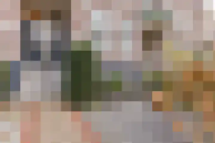 Apeldoornseweg 64 Arnhem thumbnail 5