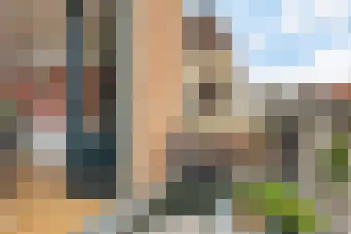 Apeldoornseweg 82 2 Arnhem thumbnail 5