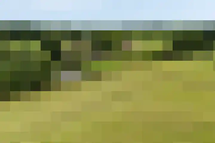 Apenhorsterweg 2 De Heurne thumbnail 10