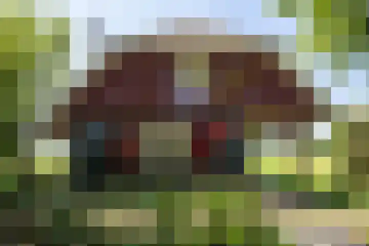 Apenhorsterweg 2 De Heurne thumbnail 100