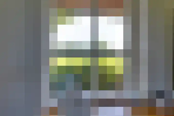 Apenhorsterweg 2 De Heurne thumbnail 105