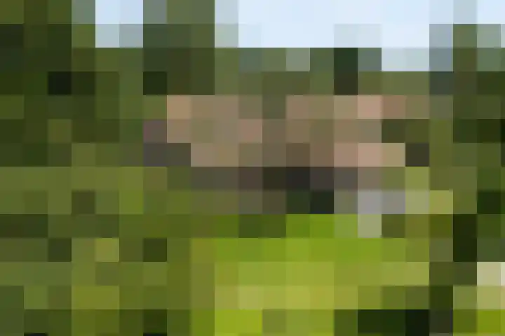 Apenhorsterweg 2 De Heurne thumbnail 11
