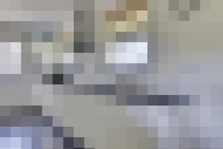 Apenhorsterweg 2 De Heurne thumbnail 110