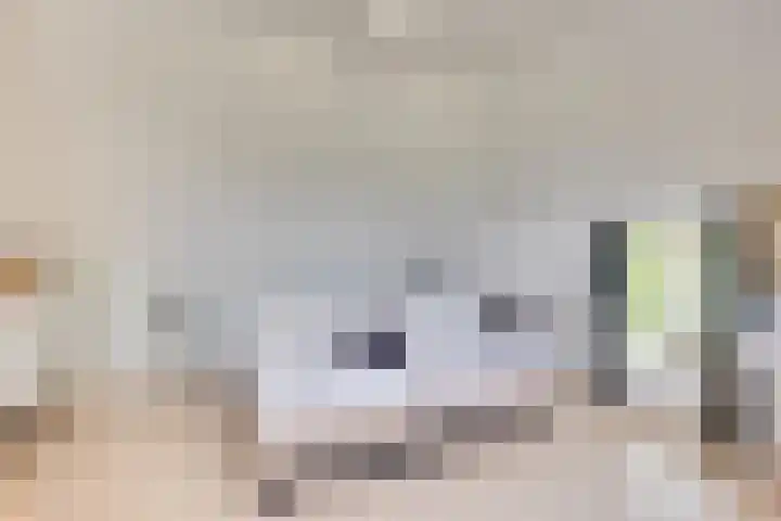 Apenhorsterweg 2 De Heurne thumbnail 120