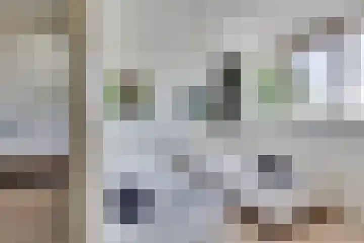 Apenhorsterweg 2 De Heurne thumbnail 123