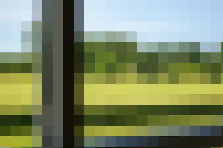 Apenhorsterweg 2 De Heurne thumbnail 125