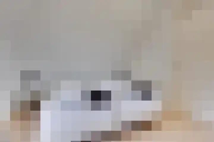 Apenhorsterweg 2 De Heurne thumbnail 126