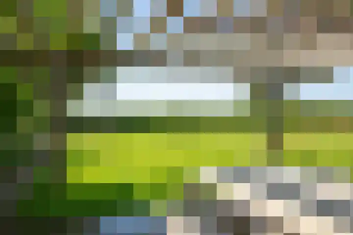 Apenhorsterweg 2 De Heurne thumbnail 129