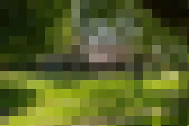 Apenhorsterweg 2 De Heurne thumbnail 13