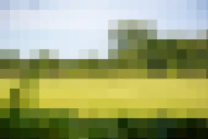 Apenhorsterweg 2 De Heurne thumbnail 130