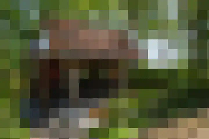 Apenhorsterweg 2 De Heurne thumbnail 131