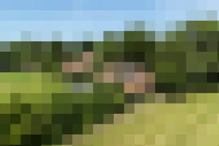 Apenhorsterweg 2 De Heurne thumbnail 132