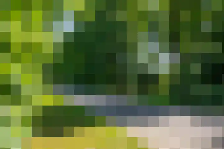 Apenhorsterweg 2 De Heurne thumbnail 133