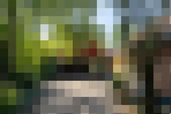 Apenhorsterweg 2 De Heurne thumbnail 15