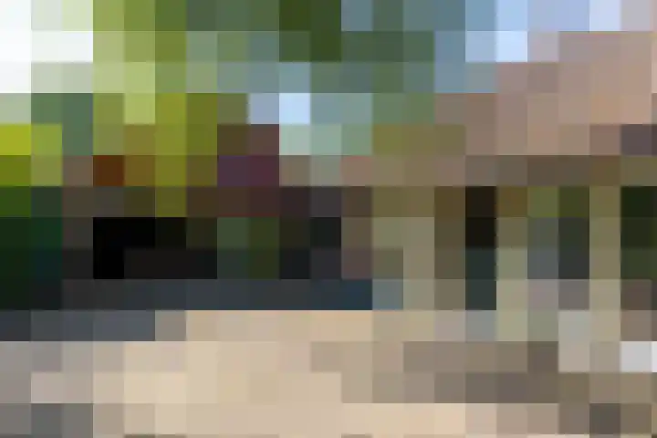 Apenhorsterweg 2 De Heurne thumbnail 16