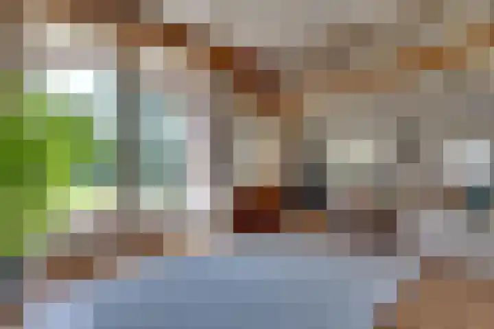Apenhorsterweg 2 De Heurne thumbnail 25