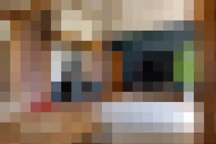 Apenhorsterweg 2 De Heurne thumbnail 26