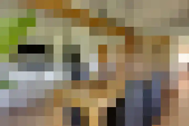 Apenhorsterweg 2 De Heurne thumbnail 28