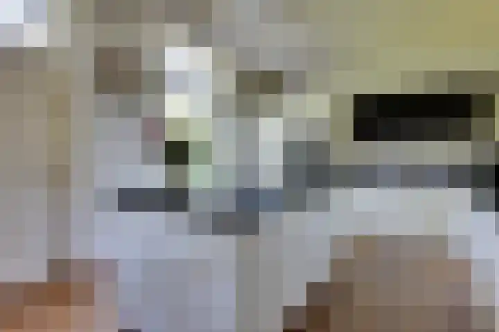 Apenhorsterweg 2 De Heurne thumbnail 30