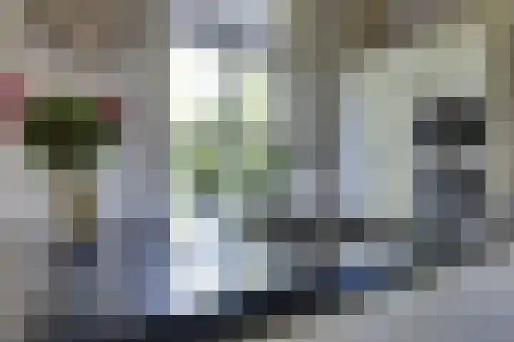 Apenhorsterweg 2 De Heurne thumbnail 31