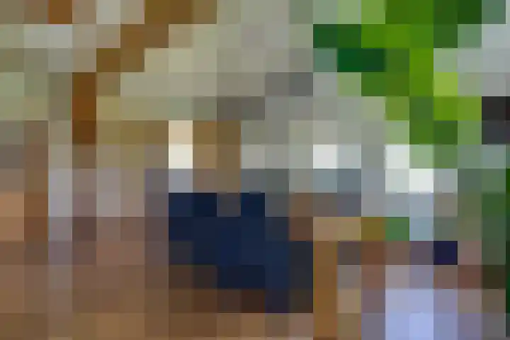 Apenhorsterweg 2 De Heurne thumbnail 35