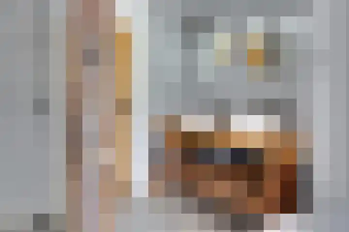 Apenhorsterweg 2 De Heurne thumbnail 42