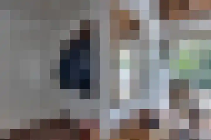 Apenhorsterweg 2 De Heurne thumbnail 47