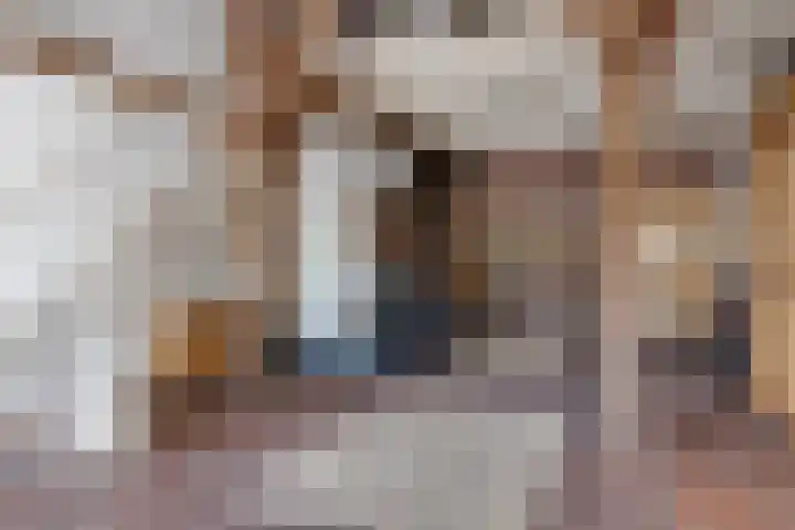 Apenhorsterweg 2 De Heurne thumbnail 49