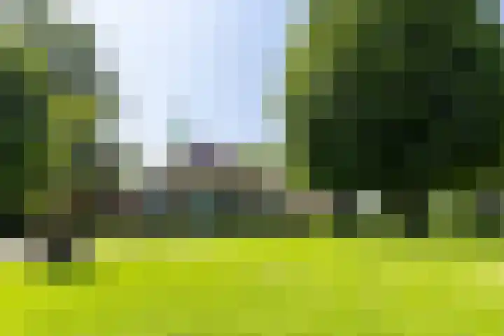 Apenhorsterweg 2 De Heurne thumbnail 5