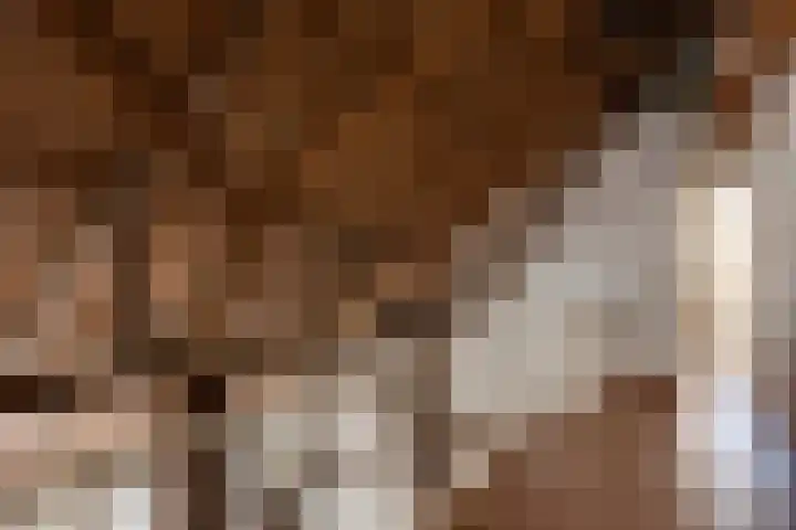Apenhorsterweg 2 De Heurne thumbnail 50