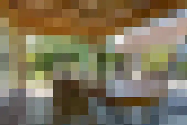 Apenhorsterweg 2 De Heurne thumbnail 58