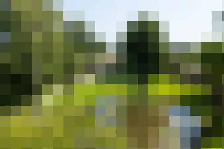 Apenhorsterweg 2 De Heurne thumbnail 6
