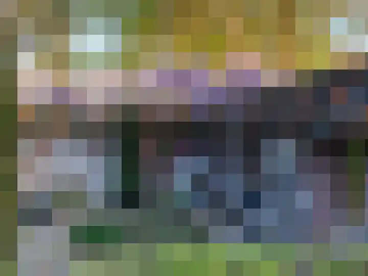 Apenhorsterweg 2 De Heurne thumbnail 60