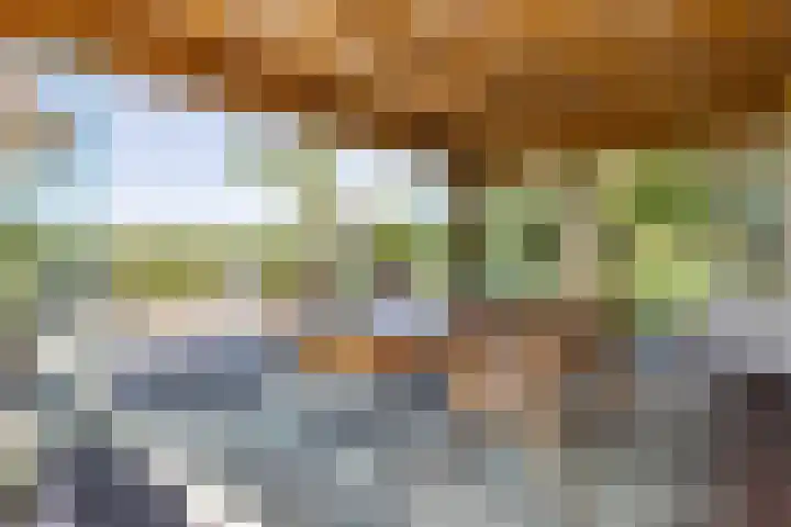 Apenhorsterweg 2 De Heurne thumbnail 61