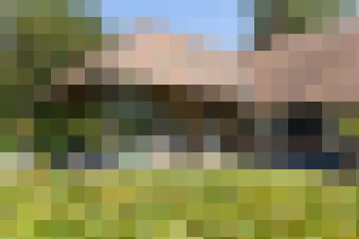 Apenhorsterweg 2 De Heurne thumbnail 62