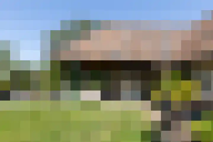 Apenhorsterweg 2 De Heurne thumbnail 63