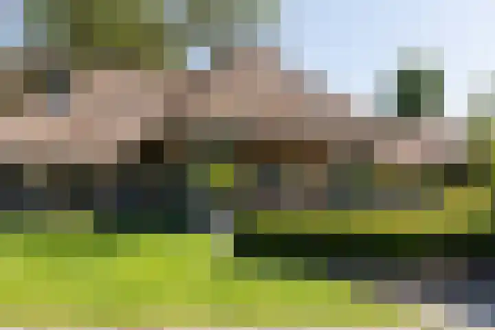 Apenhorsterweg 2 De Heurne thumbnail 64