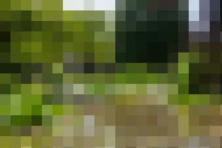 Apenhorsterweg 2 De Heurne thumbnail 67