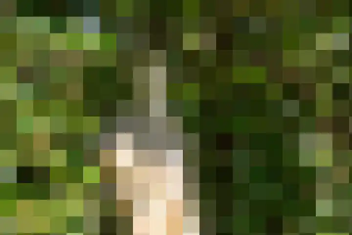 Apenhorsterweg 2 De Heurne thumbnail 68
