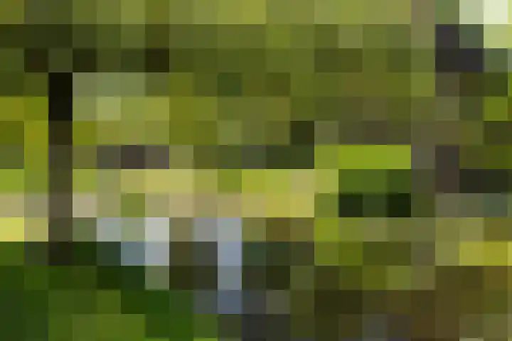 Apenhorsterweg 2 De Heurne thumbnail 69