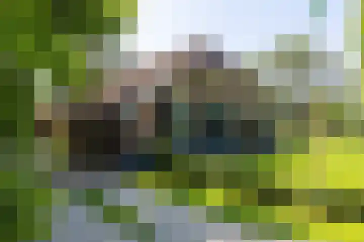 Apenhorsterweg 2 De Heurne thumbnail 7