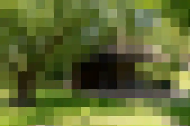 Apenhorsterweg 2 De Heurne thumbnail 71