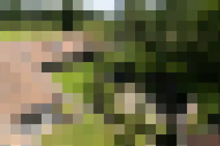 Apenhorsterweg 2 De Heurne thumbnail 74