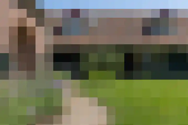 Apenhorsterweg 2 De Heurne thumbnail 75