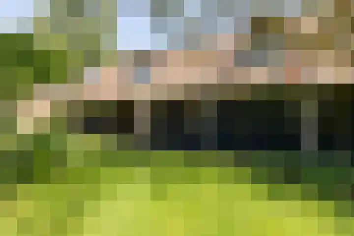 Apenhorsterweg 2 De Heurne thumbnail 79