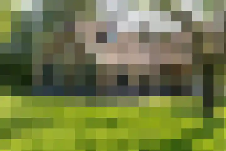 Apenhorsterweg 2 De Heurne thumbnail 8