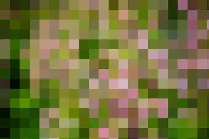 Apenhorsterweg 2 De Heurne thumbnail 80