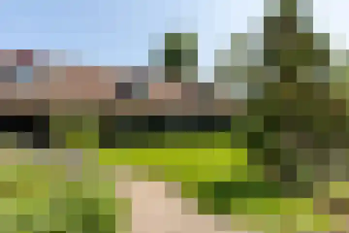 Apenhorsterweg 2 De Heurne thumbnail 81