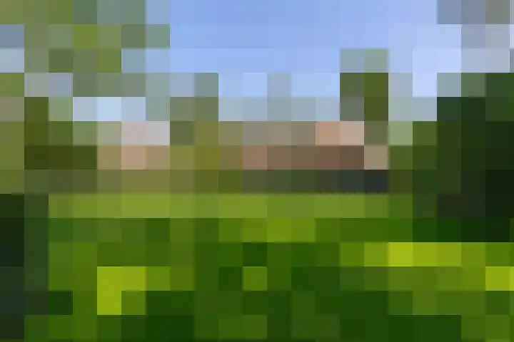 Apenhorsterweg 2 De Heurne thumbnail 82